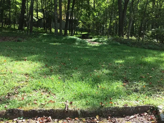 A11