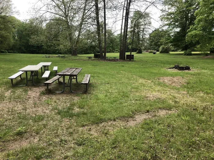 Site #2