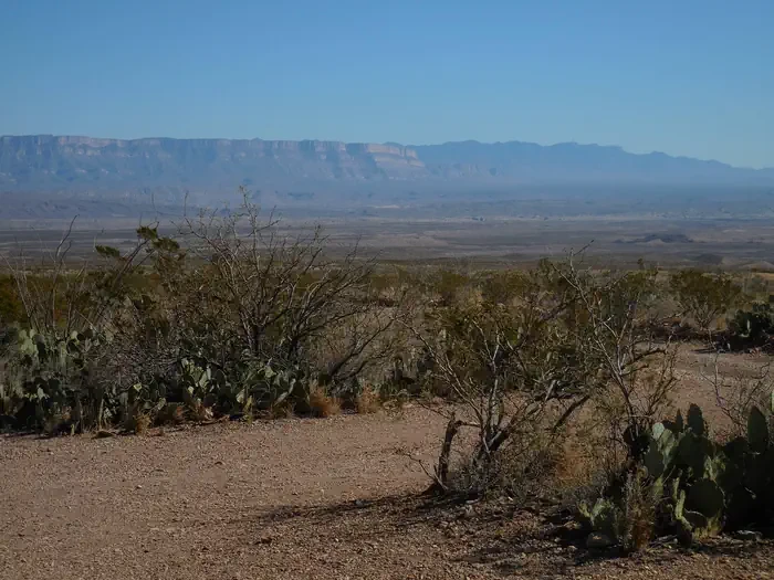 Pine Canyon 2