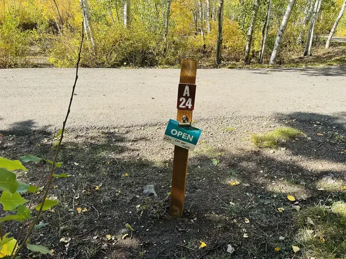 A24