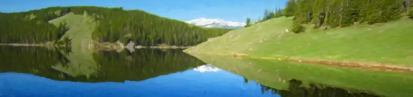 004