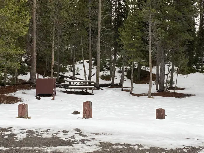 Lewis Lake site #17