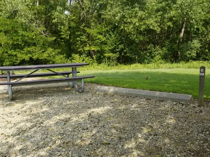 D39