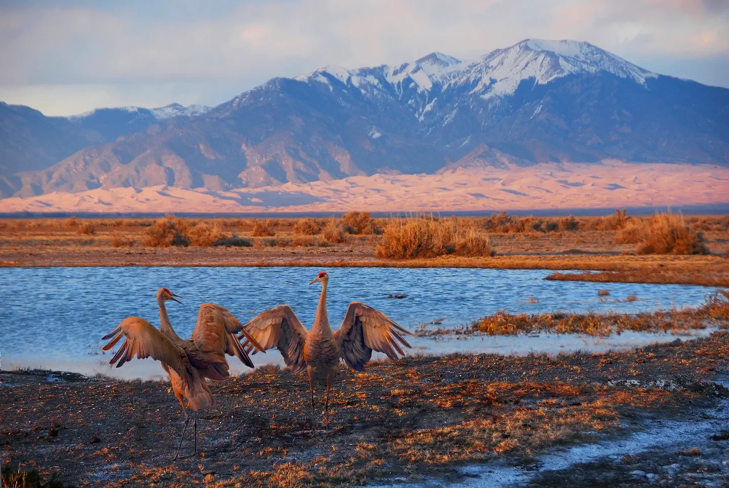 Great Sand Dunes National Park & Preserve