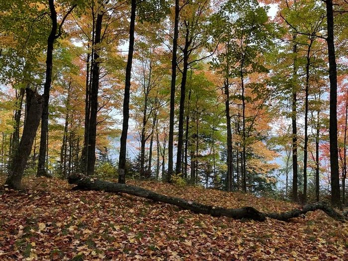 Sylvania Wilderness Backcountry Camping