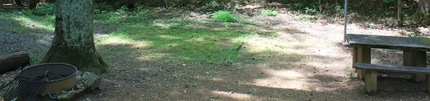 B32