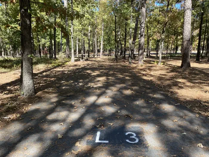 L03