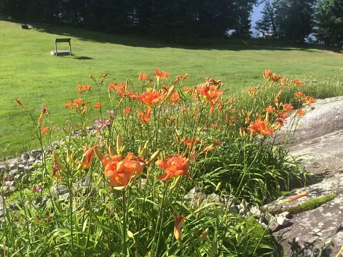 Ellsworth Rock Gardens Tour and Eagle Watch