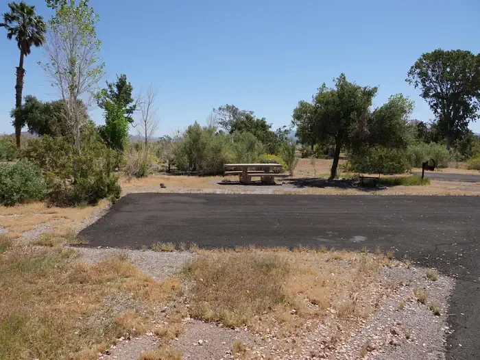 Site 6