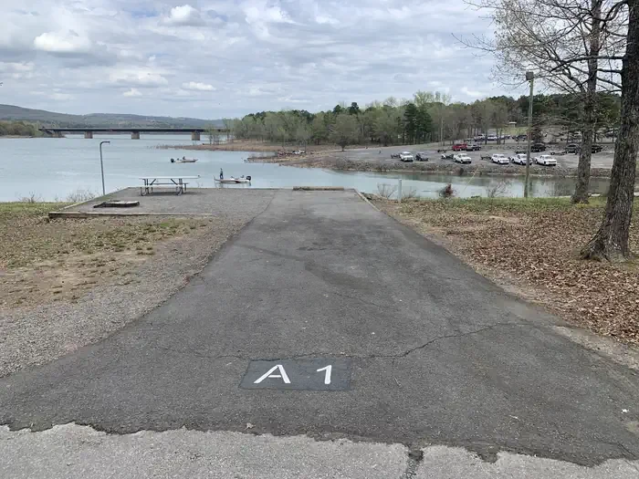 A1
