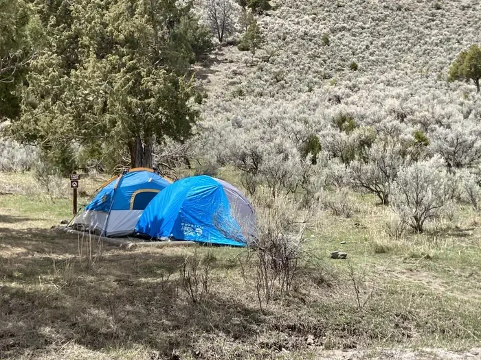 Mammoth site #49