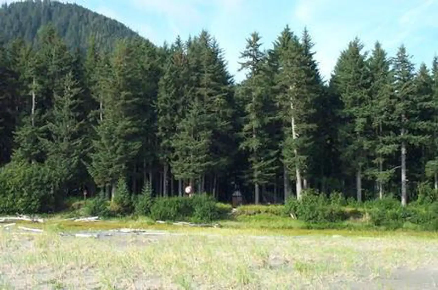 Hook Point Cabin