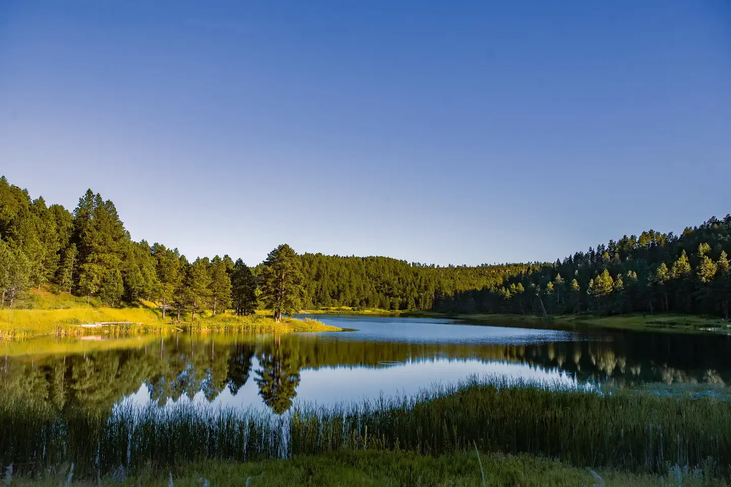 Cook Lake Campground