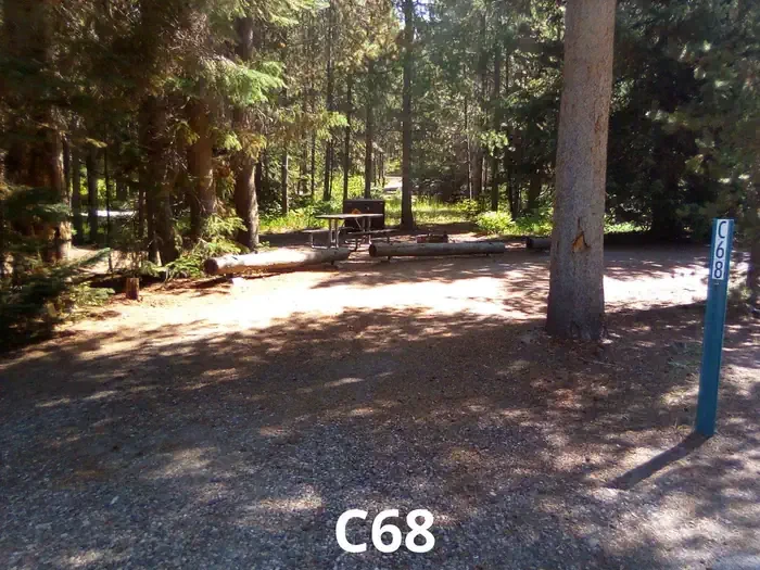 68