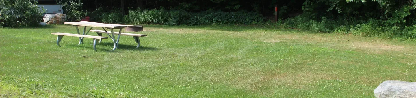 N02