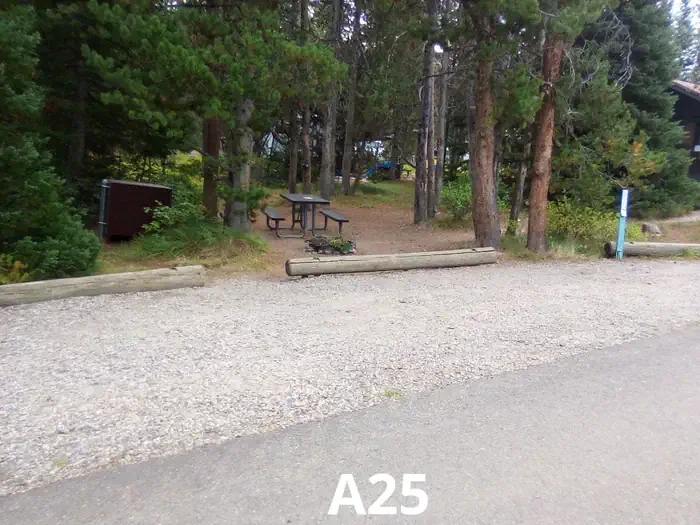 25