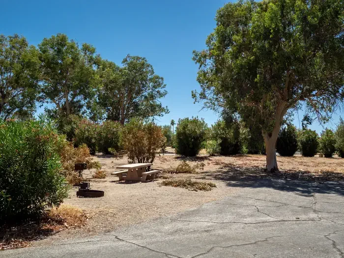 Site 29