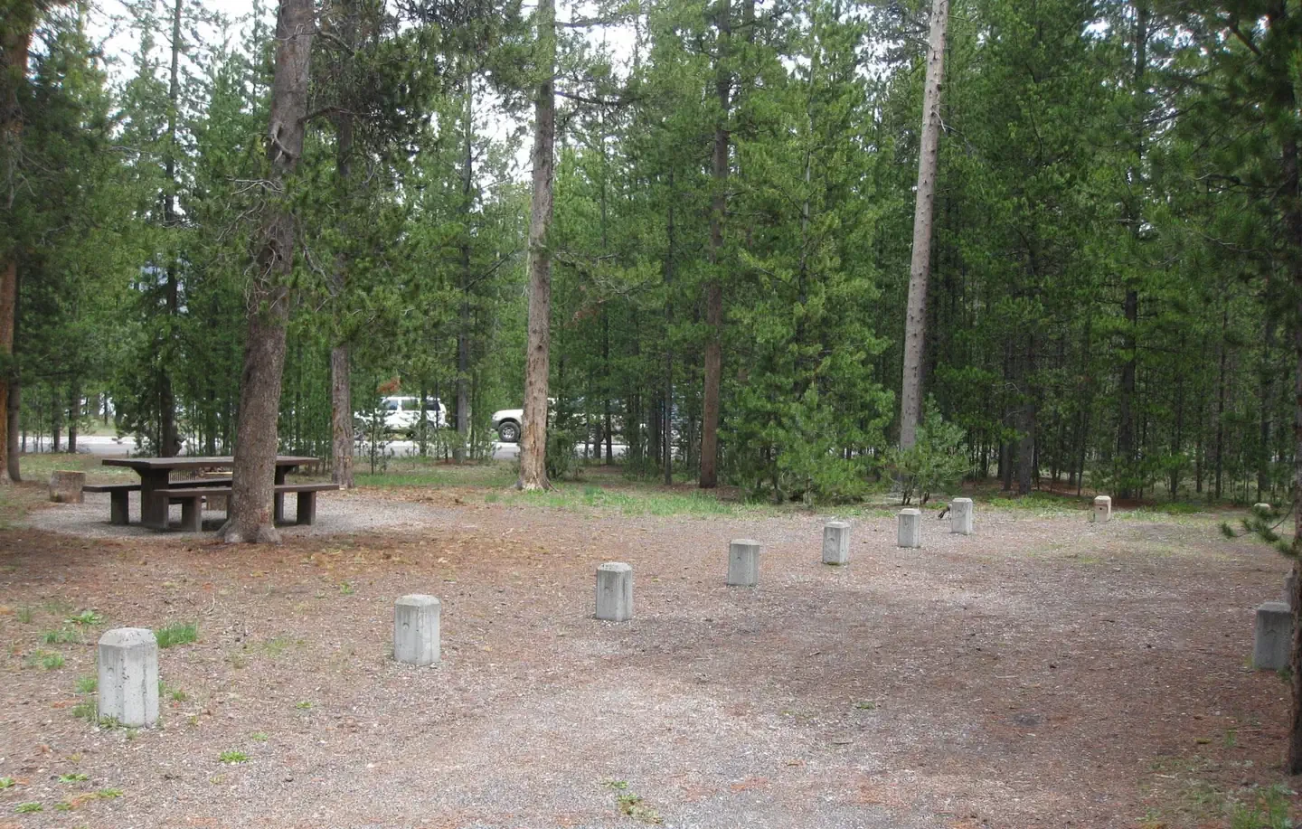 A19