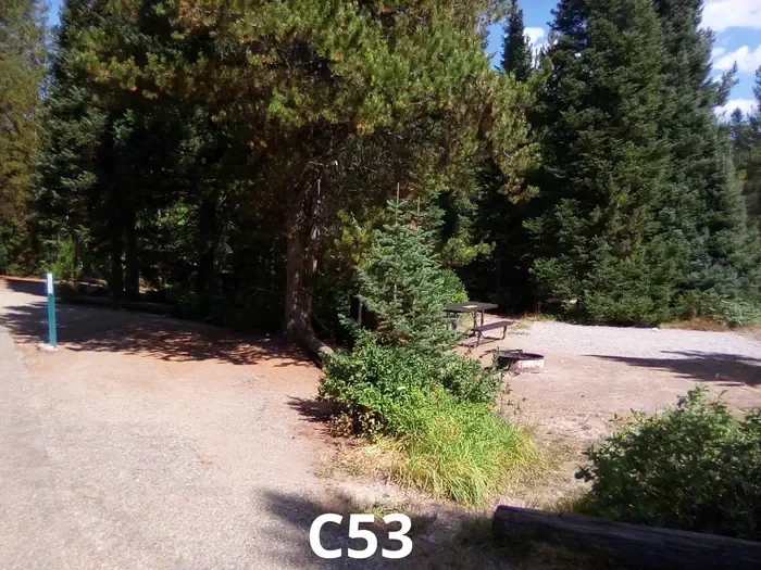 53