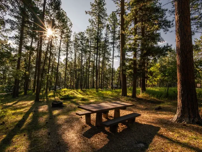 Reuter Campground