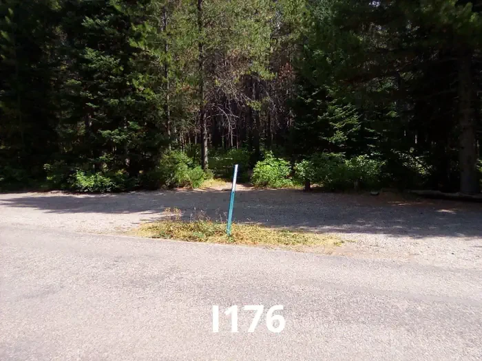 176