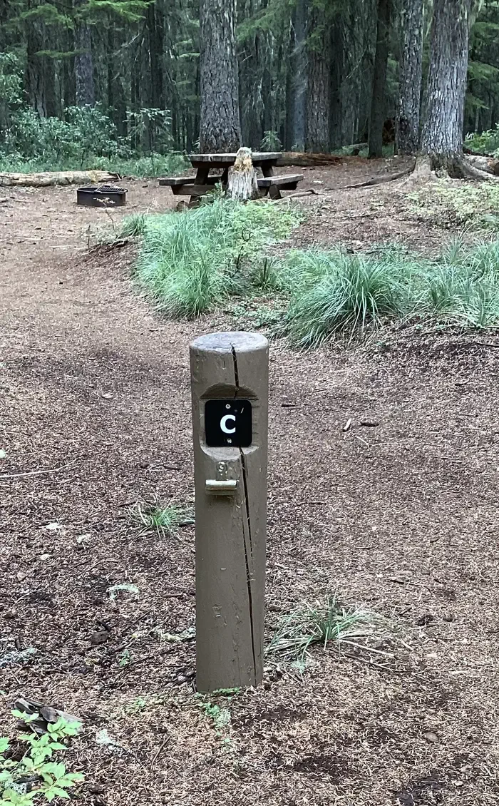 C