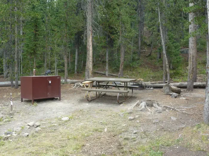 Lewis Lake site #17