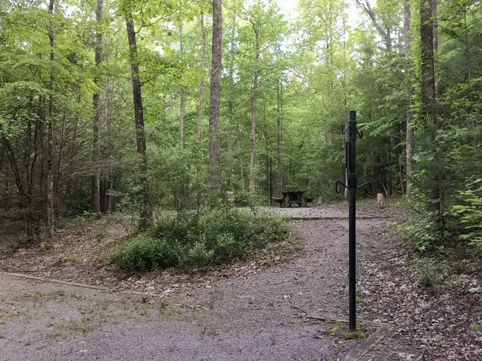 63