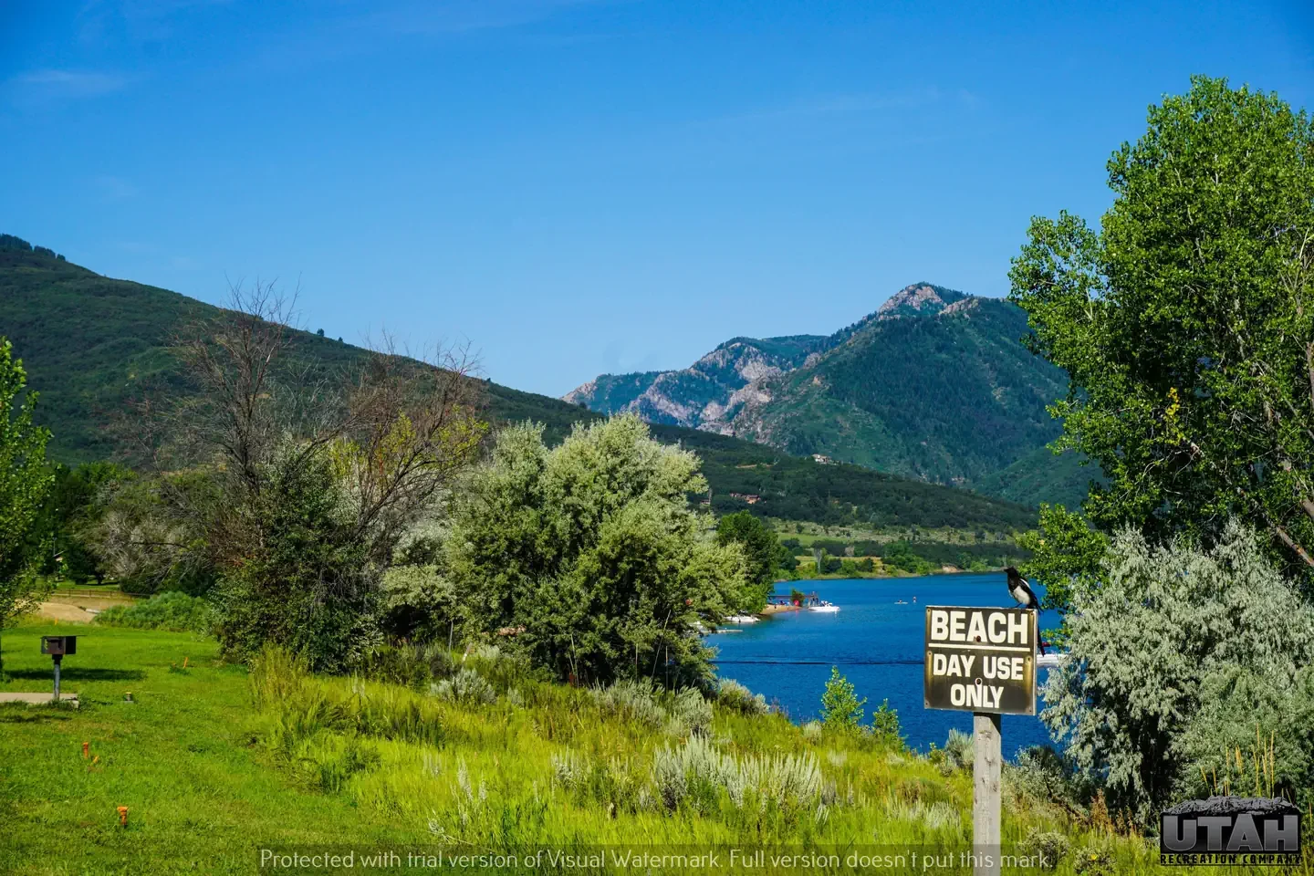 Anderson Cove (Uinta-Wasatch-Cache National Forest, UT)