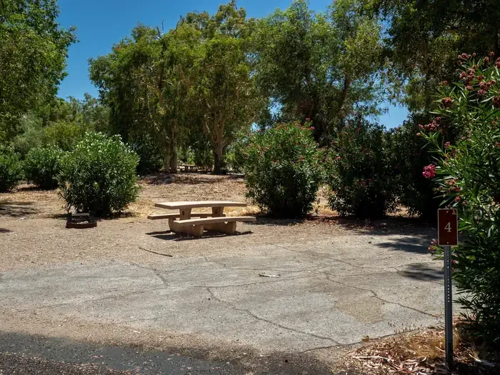 Site 4
