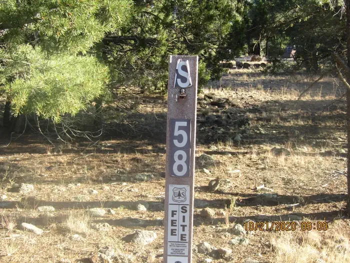 58