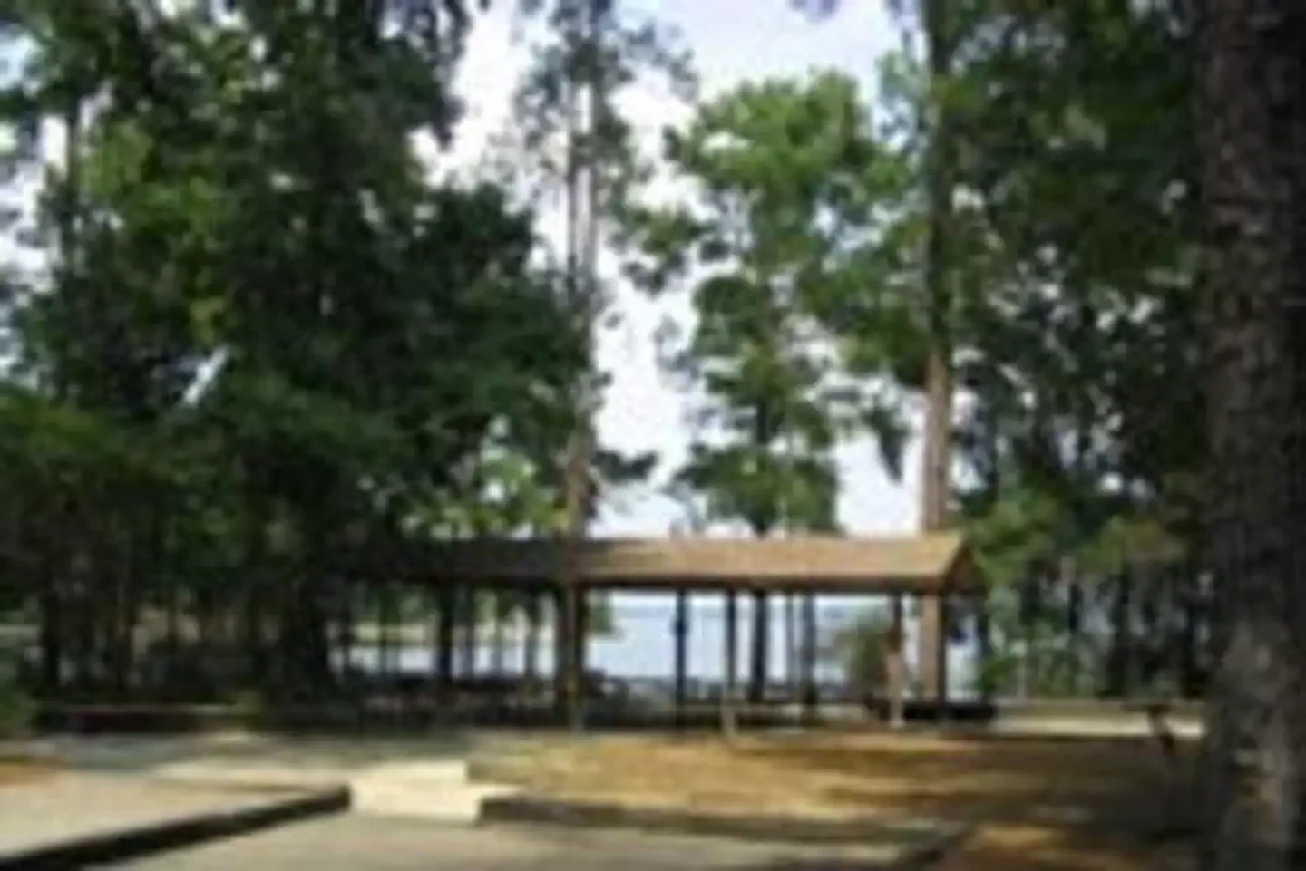 Lake Springs