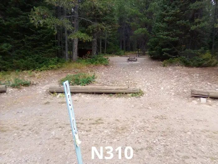 310