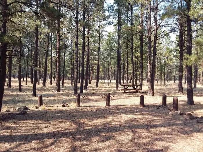 Benny Creek Group Area