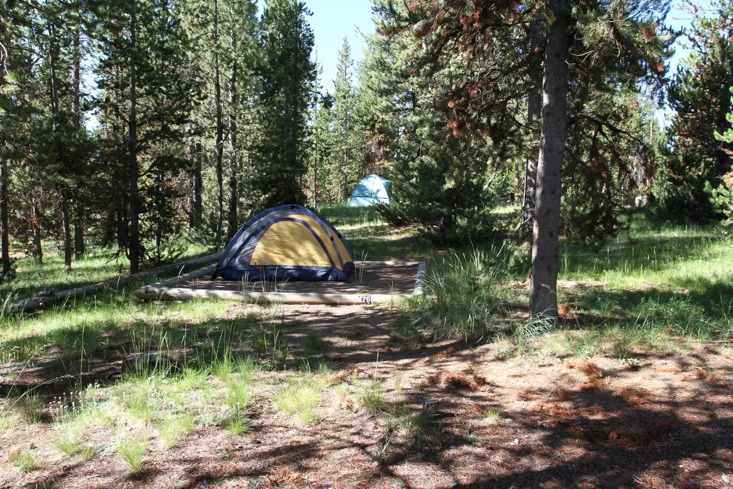 Indian Creek site #26