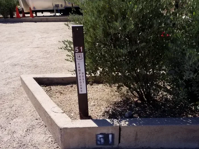 51
