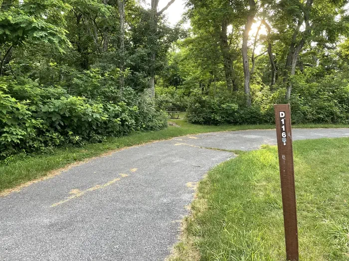 D116