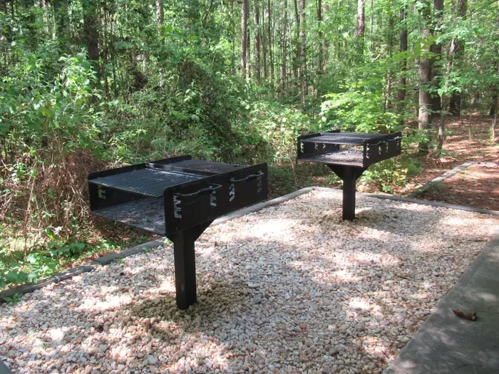 Congaree Picnic Shelter