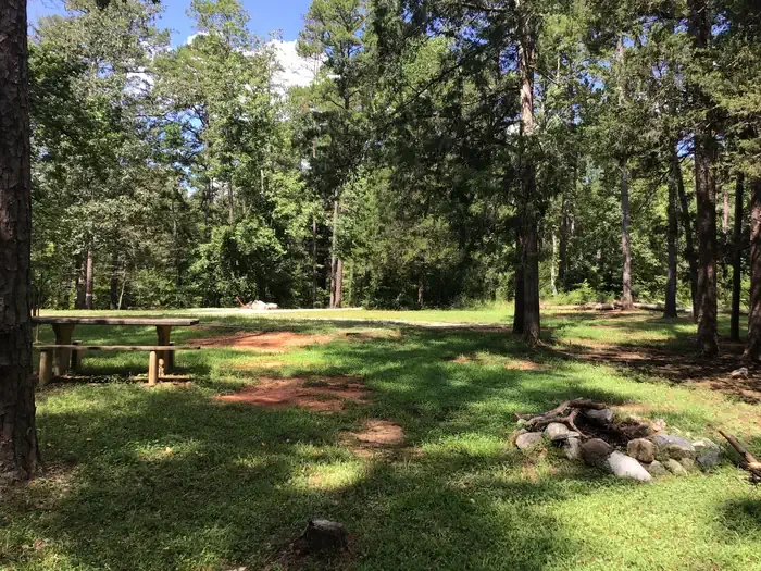 Group Site 08