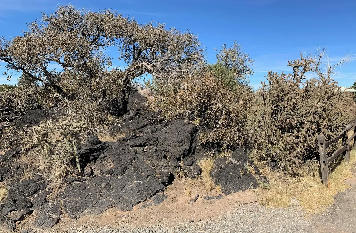 Site 25