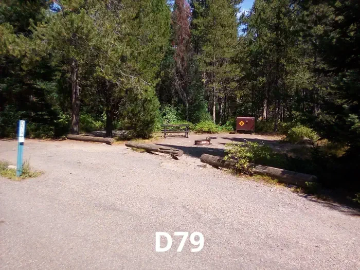 79