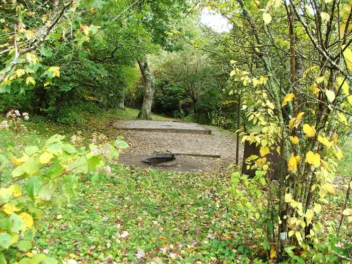 C14