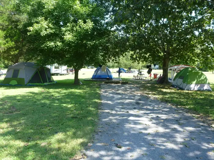 Site# 19