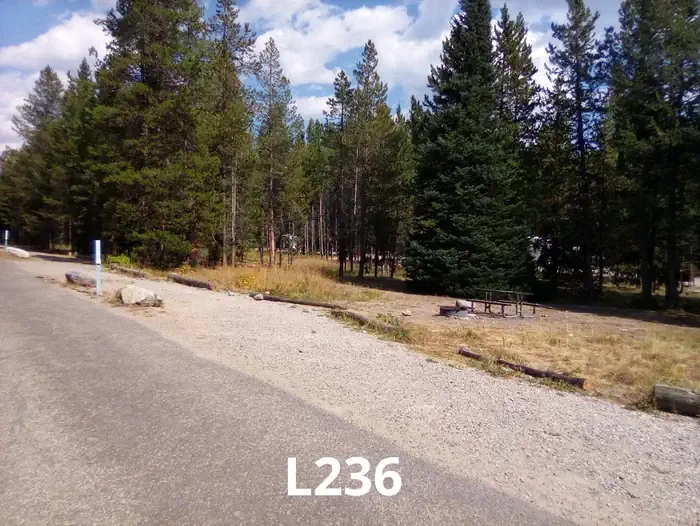 236