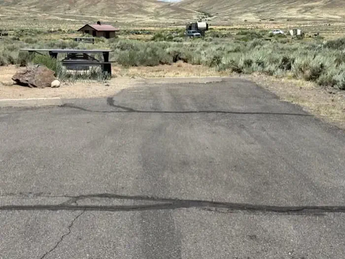 A20