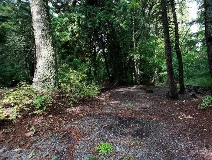 A47