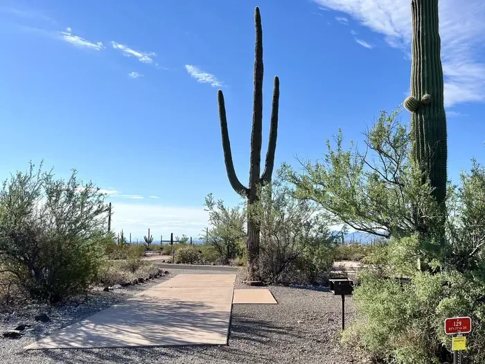 129