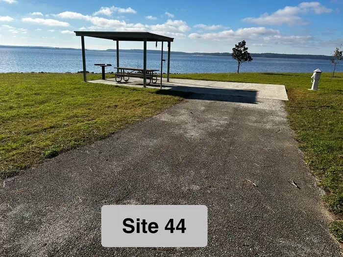 44