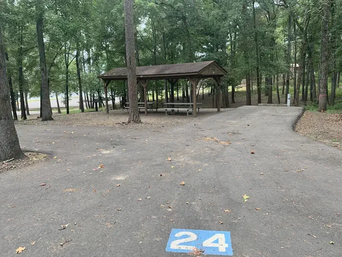 24