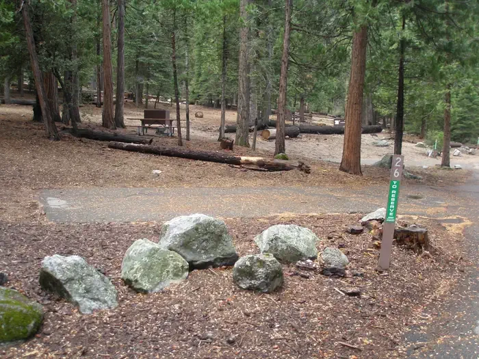 Site: 26